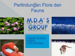 Keanekaragaman flora dan fauna tersebut mendorong pada peneliti dan pecinta alam datang ke indonesia untuk meneliti flora dan fauna. Perlindungan Flora Dan Fauna