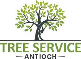 Maybe you would like to learn more about one of these? Home Tree Service Antioch