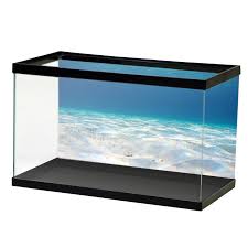 White Sand Open Water Background Aquarium Vinyl Water Background Open Water Aquarium Backgrounds
