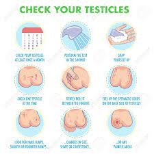 A lump or thickening in the breast or testicles; Rizzy Su Twitter Mandem Do You Know How To Check Your Balls For Testicular Cancer Rt And U Might Just Save A Life