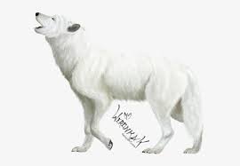 Use these free white wolf animation png #142119 for your personal projects or designs. White Wolf Art Png Png Image Transparent Png Free Download On Seekpng