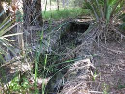 Image result for dip vat