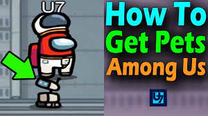 How To Get Pets In Among Us Youtube