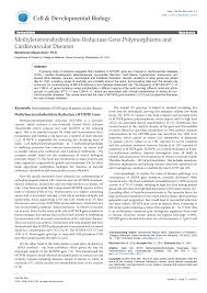 Methylenetetrahydrofolate Reductase Gene Polymorphisms and Cardiovascular  Diseases