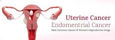 There are two main types of uterine cancer known as endometrial patients who experience vaginal bleeding after menopause should seek medical evaluation as soon as possible. Can You Get Uterine Cancer After Menopause