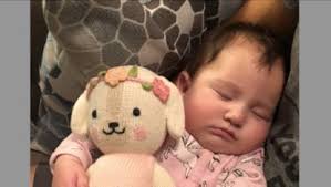 Amazon.com: cuddle + kind Wyatt The Fox Little 13" Hand-Knit Doll