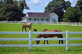 We did not find results for: How To Plan The Best Horse Fence For Your Property Horse Journals