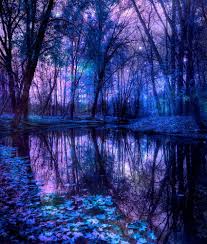 Hutan pinus mangunan merupakan hutan lindung yang disulap menjadi kawasan ekowisata. Pin Oleh Nanny P Di Aesthetic Moodboards Fotografi Alam Pemandangan Yang Indah Wallpaper Alam Yang Indah