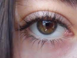 Ela Goz Ile Ilgili Gorsel Sonucu Yesil Gozler Gozler Yesil