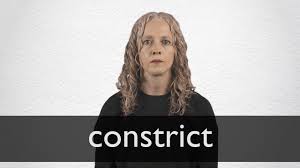 نتیجه جستجوی لغت [constricted] در گوگل