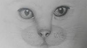 Disegni facili a matita marzo 22, 2021. Disegni A Matita Facili Animali Disegni Di Gatti A Matita Disegni Da Colorare Gratuiti Disegni Di Animali A Stra Kijiji Annunci Di Ebay