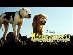 Voice actors images from the homeward bound ii: Homeward Bound Tamil Youtube