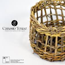 👁️ NOVEDADES: En el trabajo realizado en 2022 pudimos ver que es posible  obtener fibra natural desde la hoja de pita, la que puede resistir el  hilado, de acuerdo a la evaluación