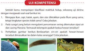 Berilah tanda silang (x) pada huruf a, b. Jawaban Uji Kompetensi Bab 2 Halaman 89 Ipa Kelas 7 Klasifikasi Makhluk Hidup Bastechinfo