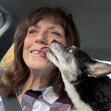 The Old Neighborhood Berwyn Cicero Chicago History Page