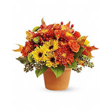 Cele mai noi despre flori de toamna pui cu legume si sos pe baza de otet basamic aceasta venirea toamnei nu înseamnă neapărat că nu ne putem bucura în continuare de frumusețea, prospețimea și coloritul plantelor. Buchet Din Trandafiri Si Crizanteme Toamna Deluxe Emag Ro