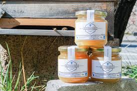 Bienen haben eine wichtige aufgabe. Cw8j7 Epyyyxgm