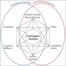 This can be an important skill that many individuals who receive applied behavior analysis. Possibilities Within Acceptance And Commitment Therapy For Approaching Moral Injury Bentham Science