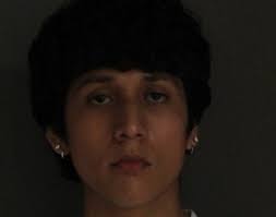 Dog killed, 1 injured in East Hartford house fire, officials say