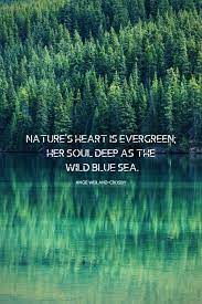 Nature Quotes For The Wandering Soul Nature Quotes Trees Nature Quotes Nature Quotes Inspirational