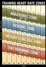 Training Heart Rate Zones Chart Modern Poster Cycling
