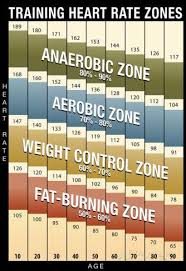 training heart rate zones chart modern poster home gym