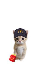 cute McDonald's working cat
