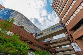 Infectious Diseases Hospitals Department Of Medicine