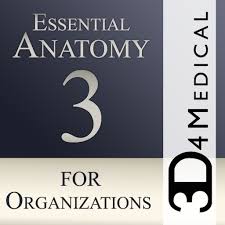 This app is being offered free to demonstrate the groundbreaking 3d technology and innovative design inherent in 3d4medical's new range. Essential Anatomy 3 For Orgs Apk 1 1 3 Download For Android Download Essential Anatomy 3 For Orgs Xapk Apk Obb Data Latest Version Apkfab Com