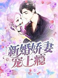 新婚嬌妻寵上癮線上看 art anime