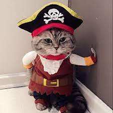 If you're still scratching your head trying to find the purrrfect shirt or outfit that's both cute and comfortable for your beloved feline friend, you've. Amazon Com Idepet New Funny Pet Clothes Pirate Dog Cat Costume Suit Corsair Dressing Up Party Apparel Clothing For Cat Dog Plus Hat S Pet Supplies