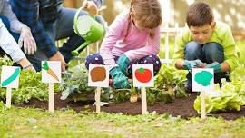 Workshop: Organic Gardening 101 (Walnut)