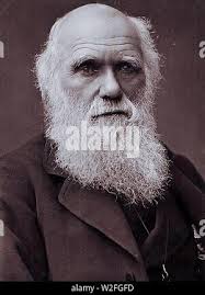 Charles Darwin photograph by Herbert Rose Barraud 1881 Stock Photo