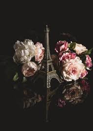 4.5 out of 5 stars. What S Best Fresh Dried Or Artificial Flowers Photofocus