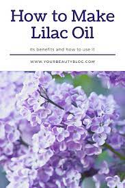 How To Make Lilac Oil Its Benefits And How To Use It Lilac Oils Diy Natural Beauty Recipes Natural Beauty Diy