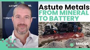 Astute Metals’ big hits at Red Mountain Lithium Project in Nevada