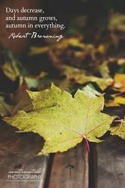 Japanese Maple Quotes Image Quotes At Relatably Com Autumn Quotes Leaf Quotes Autumn