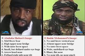 Nigerian military: Man posing as Boko Haram leader killed