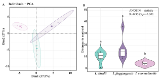 Image result for Impatiens purpureoviolacea