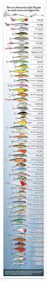Rapala Top To Bottom Chart Rapala Lure Making Bottom Fishing
