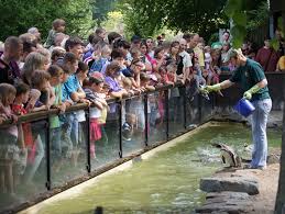 Der heutige zoologische garten magdeburg geht zurück auf den im juli 1950 eröffneten magdeburger heimattiergarten, der den besuchern 50 säugetiere und 280 vögel vorstellte. Zoologischer Garten Magdeburg