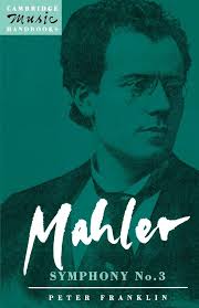 Mahler: Symphony No. 3 (Cambridge Music Handbooks): Franklin, Peter:  9780521379472: Amazon.com: Books