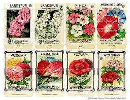 Vintage Flower Seed Packets Set 1 Printable Jpg Digital Collage Sheet And Individual Png Images Vintage Seed Packets Digital Collage Sheets Seed Packets