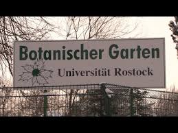 Gärtnerin sylvia roisch sortiert im botanischen der universität rostock schachteln mit samen in einen kühlschrank. Botanischer Garten Rostock Youtube