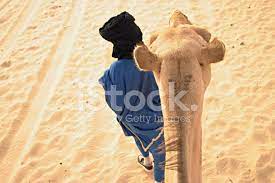 Find the perfect man picking up stock photos and editorial news pictures from getty images. Camel Head And Tuareg Man Stock Photos Freeimages Com