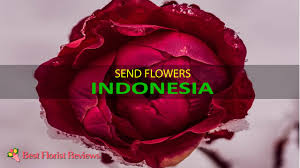 We did not find results for: 6 Best Options To Send Flowers To Indonesia 2021
