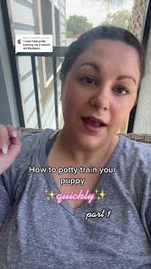 Puppy Potty Training Tips: Set Up a Schedule for Success