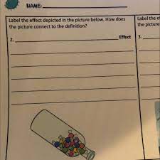 Some of the worksheets for this concept are amoeba sisters video recap natural selection, amoeba sisters genetic drift answer keys epub, natural cell membrane coloring worksheet answer key. Label The Effect Depicted In The Picture Below How Does The Picture Connect To The Brainly Com