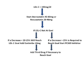 Image result for Hypercholesterolemia