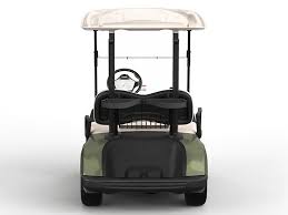 Image result for Green 2025 Fleet